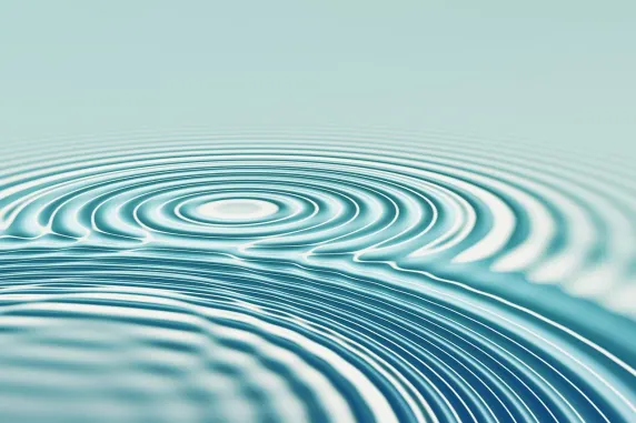 Zenbet Casinò Supporto